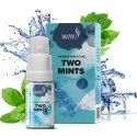 E-liquid WAY to VAPE Two mints 0mg 10ml